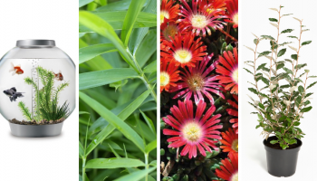 Catalogue BOTANIC Paris 2020 : Guide des Tendances et Nouveautés de la saison