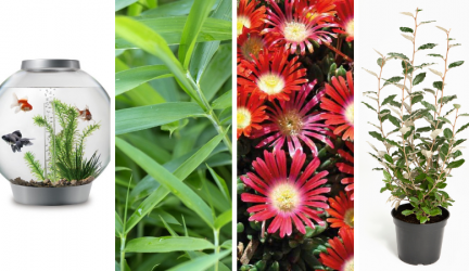 Catalogue BOTANIC Paris 2020 : Guide des Tendances et Nouveautés de la saison