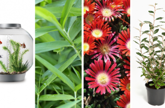 Catalogue BOTANIC Paris 2020 : Guide des Tendances et Nouveautés de la saison